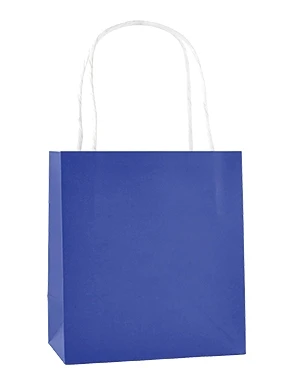 Small Twist Handled Paper Bag -A4 Size