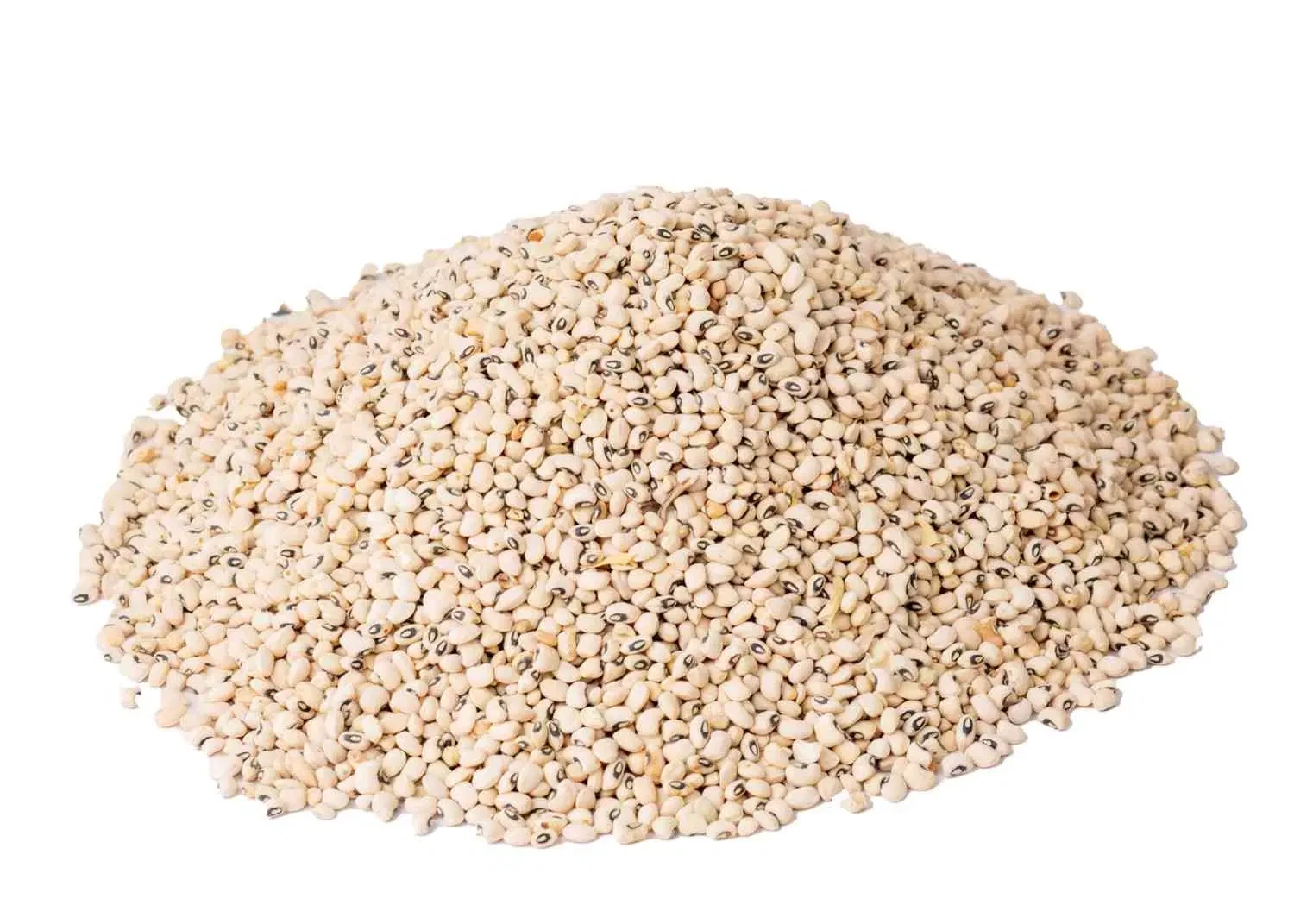 Beans - Iron or White