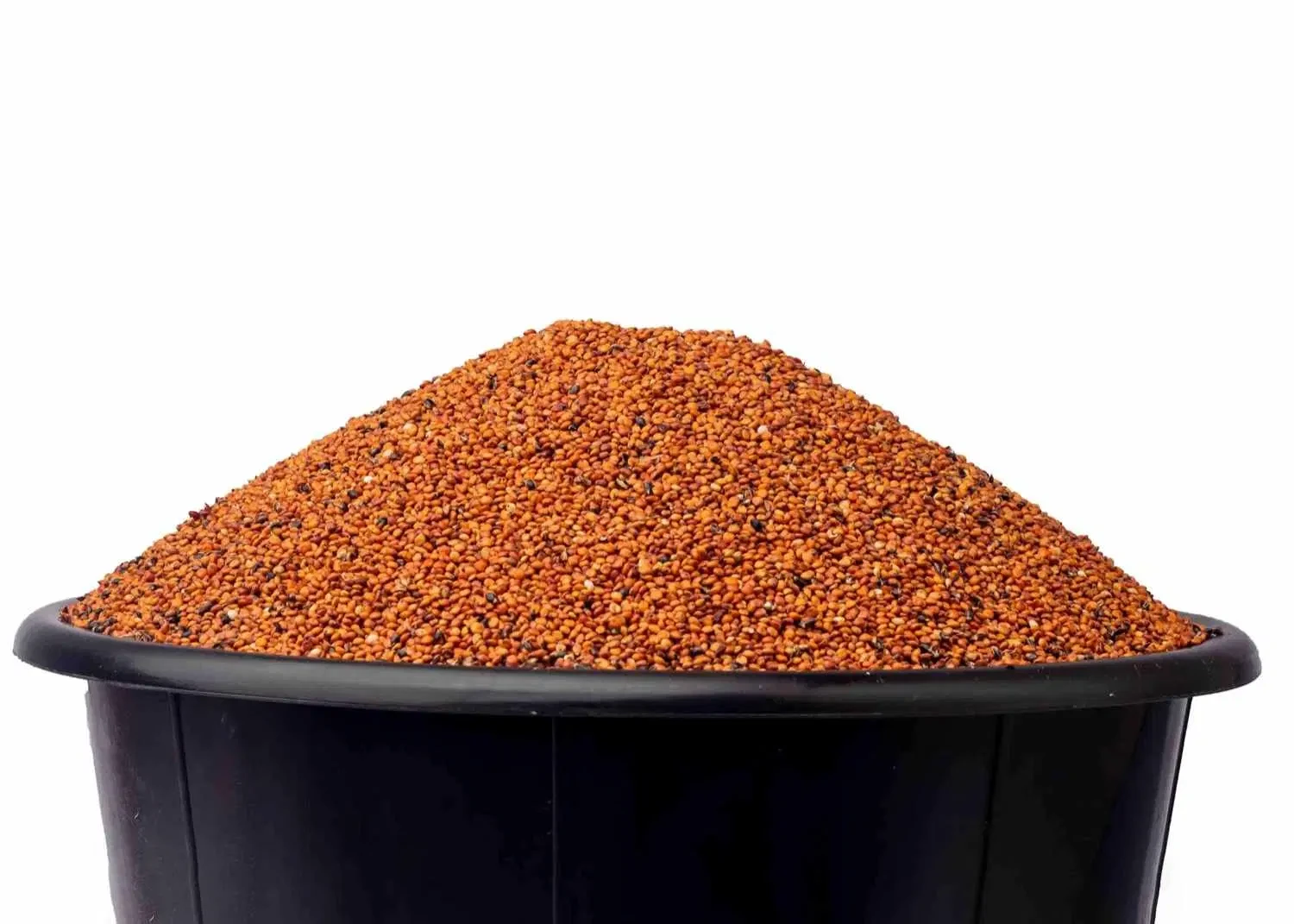 Guinea Corn - Red
