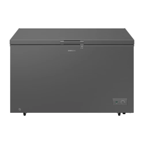 Samsung 287L Chest Freezer (RI70F29V1GAGH)